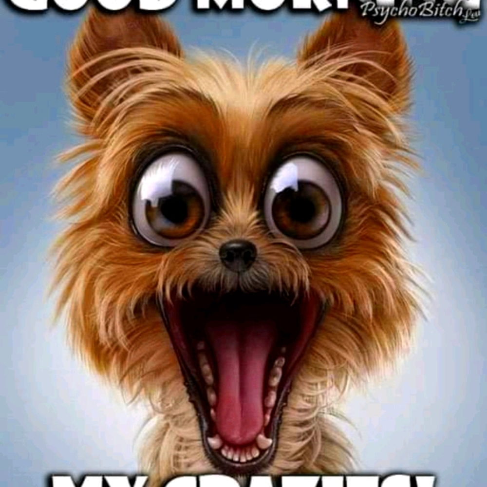 Meet your Posher, Tisha